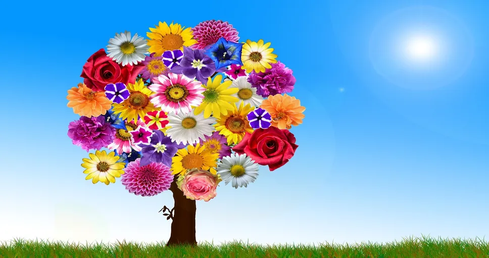 moon sextile jupiter - flower, blossoms, tree