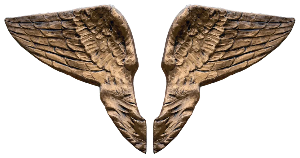 502 angel number - wing, angel wings, guardian angel, peace, faith, angel, sculpture, statue, religion, christian, satisfaction, hope, stylish, decoration, christmas angel, angel figure, contemplative, heavenly, reflection, thoughtful, romantic, isolated, angel wings, angel wings, angel wings, angel wings, angel wings, angel, heavenly